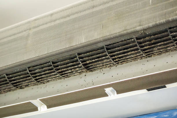 Best Professional Duct Cleaning Services  in Elmore, OH